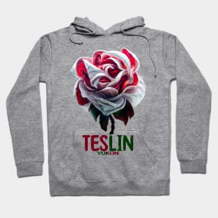 Teslin Hoodie